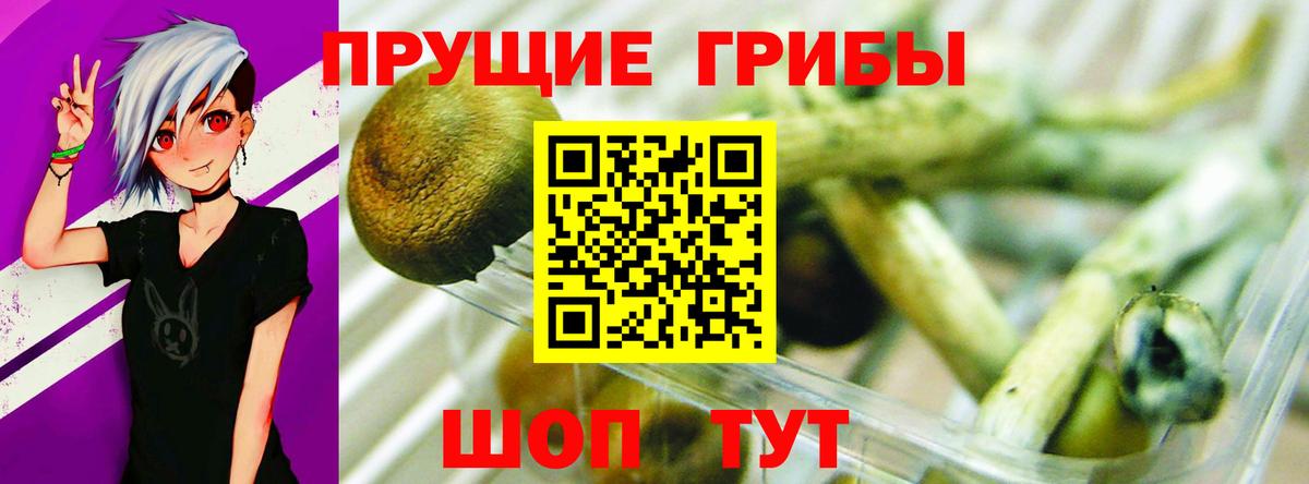 Псилоцибиновые грибы GOLDEN TEACHER Шелехов