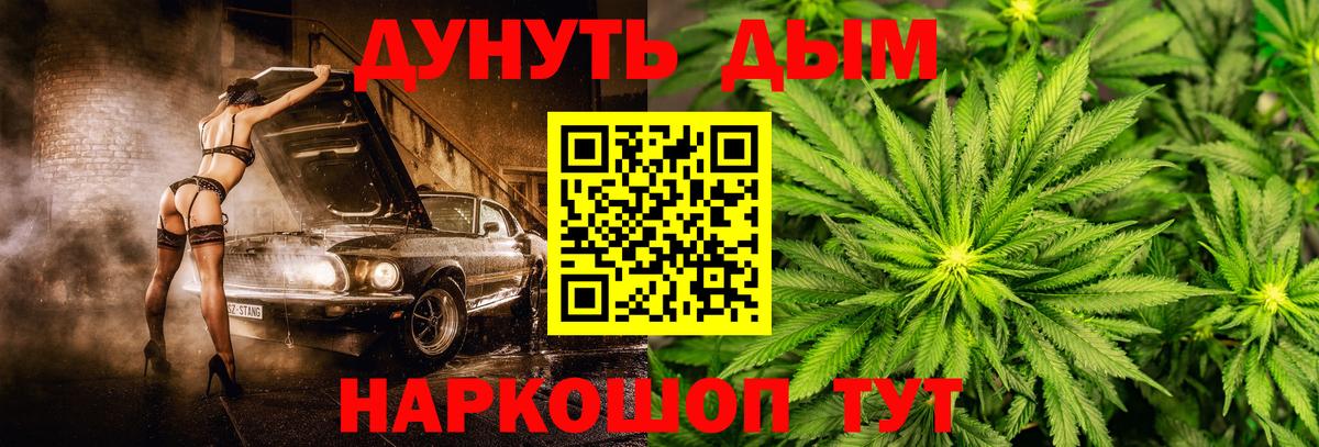 Конопля марихуана Шелехов